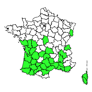 Chorologique de la flore de France