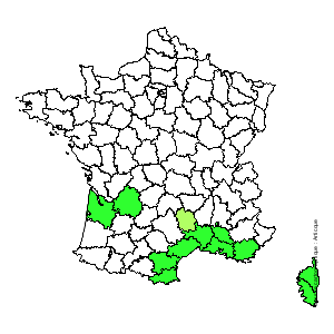 Chorologique de la flore de France Chorologique de la flore de France