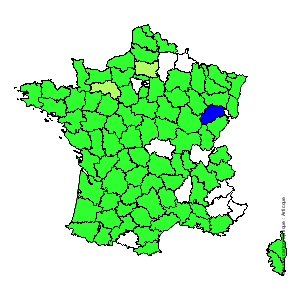 Chorologique de la flore de France Chorologique de la flore de France