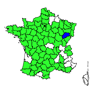 Chorologique de la flore de France Chorologique de la flore de France