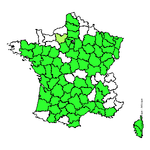 Chorologique de la flore de France Chorologique de la flore de France