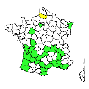 Chorologique de la flore de France Chorologique de la flore de France