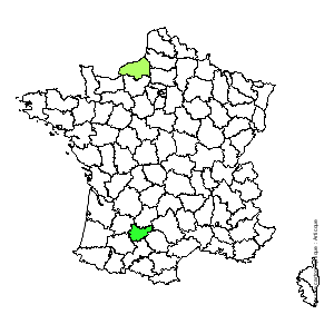 Chorologique de la flore de France Chorologique de la flore de France