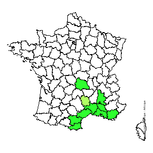 Chorologique de la flore de France Chorologique de la flore de France