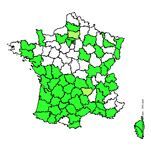 Chorologique de la flore de France