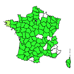 Chorologique de la flore de France Chorologique de la flore de France
