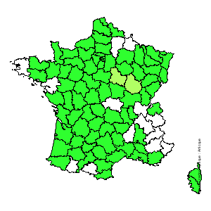 Chorologique de la flore de France Chorologique de la flore de France