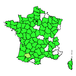 Chorologique de la flore de France Chorologique de la flore de France