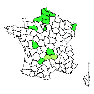 Chorologique de la flore de France Chorologique de la flore de France