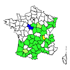 Chorologique de la flore de France Chorologique de la flore de France