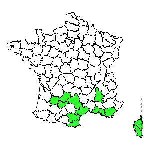 Chorologique de la flore de France Chorologique de la flore de France