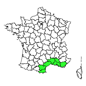 Chorologique de la flore de France Chorologique de la flore de France