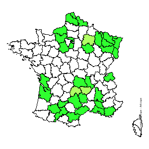 Chorologique de la flore de France Chorologique de la flore de France