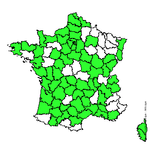 Chorologique de la flore de France Chorologique de la flore de France