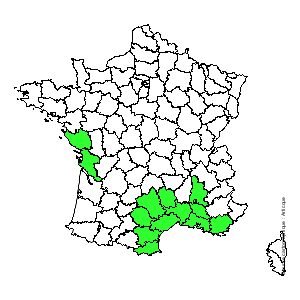 Chorologique de la flore de France