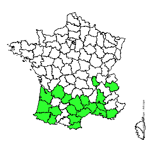 Chorologique de la flore de France