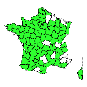 Chorologique de la flore de France Chorologique de la flore de France