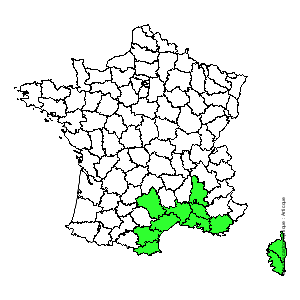 Chorologique de la flore de France Chorologique de la flore de France