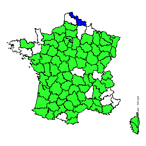 Chorologique de la flore de France Chorologique de la flore de France