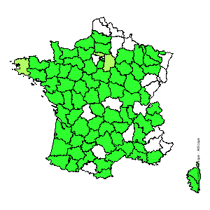 Chorologique de la flore de France Chorologique de la flore de France