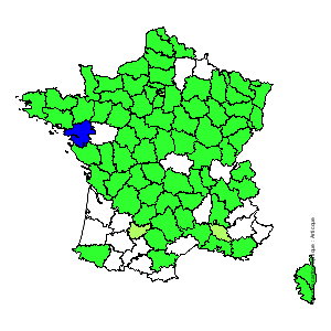 Chorologique de la flore de France