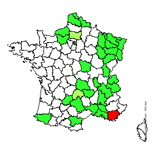 Chorologique de la flore de France Chorologique de la flore de France