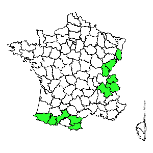 Chorologique de la flore de France Chorologique de la flore de France