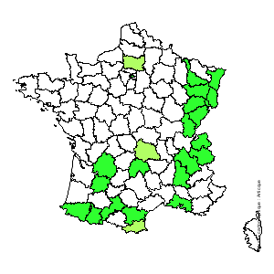 Chorologique de la flore de France Chorologique de la flore de France