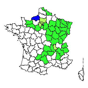 Chorologique de la flore de France Chorologique de la flore de France