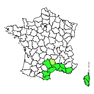 Chorologique de la flore de France Chorologique de la flore de France