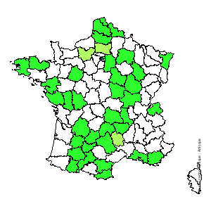 Chorologique de la flore de France Chorologique de la flore de France