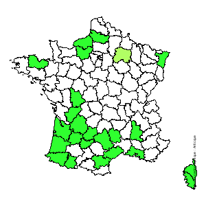 Chorologique de la flore de France Chorologique de la flore de France