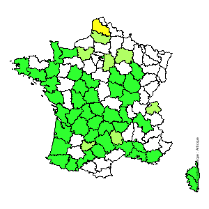 Chorologique de la flore de France Chorologique de la flore de France