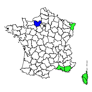 Chorologique de la flore de France Chorologique de la flore de France