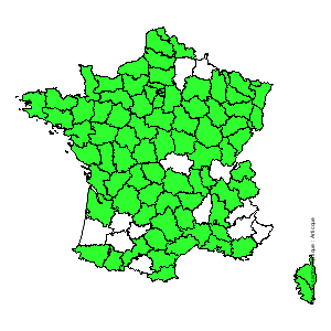Chorologique de la flore de France Chorologique de la flore de France