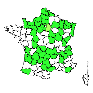 Chorologique de la flore de France Chorologique de la flore de France