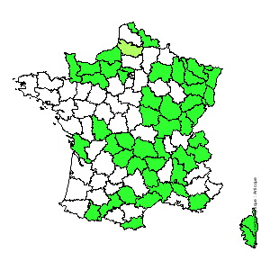 Chorologique de la flore de France