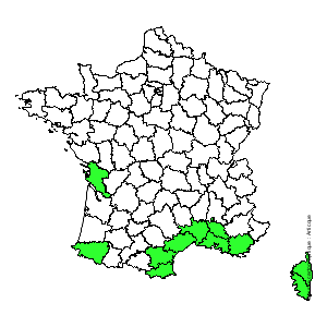 Chorologique de la flore de France