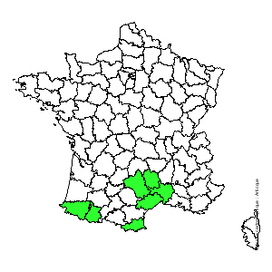 Chorologique de la flore de France Chorologique de la flore de France