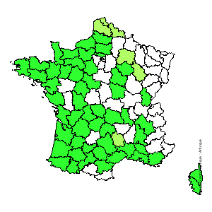 Chorologique de la flore de France Chorologique de la flore de France