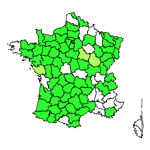 Chorologique de la flore de France Chorologique de la flore de France