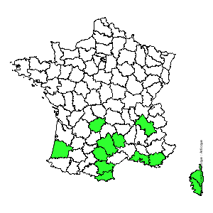 Chorologique de la flore de France Chorologique de la flore de France