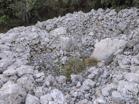Dolmen de Cantagrils