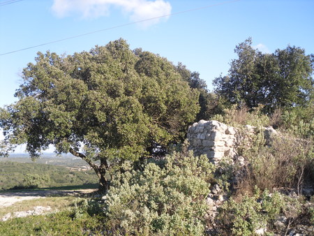 Tour du Pioch Pourquier Tour du Pioch Pourquier