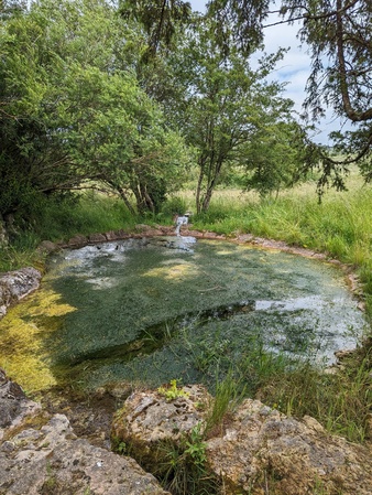Source et mare de Fontubière