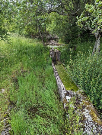 Source et mare de Fontubière
