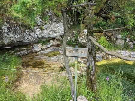 Source et mare de Fontubière