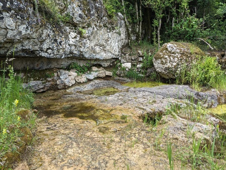 Source et mare de Fontubière