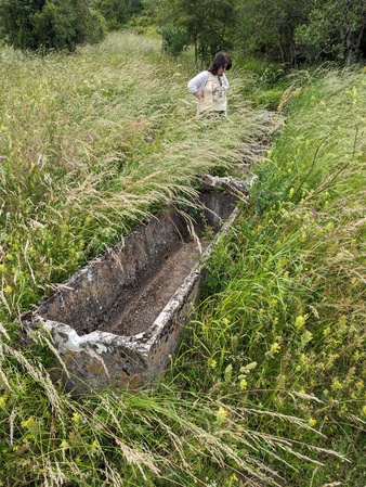 Source et mare de Fontubière