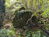 Dolmen de Lespinasse